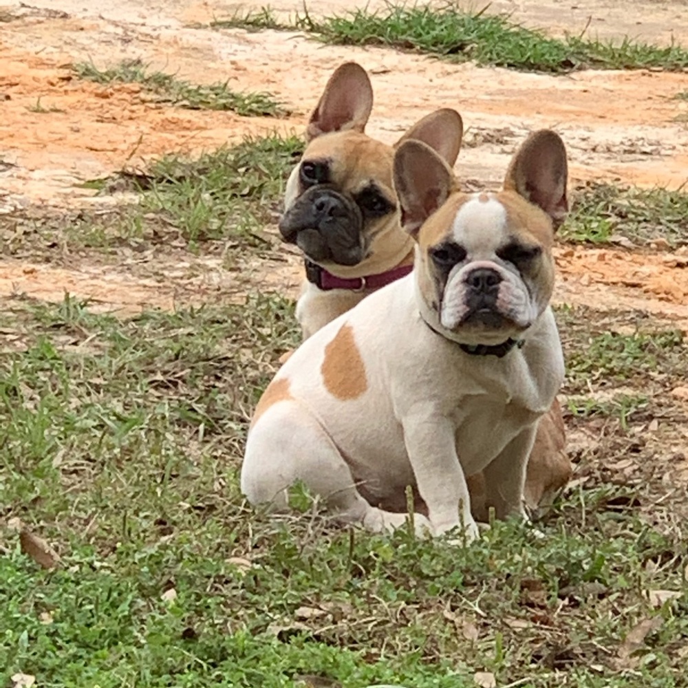 Meet your Posher, Kirsten